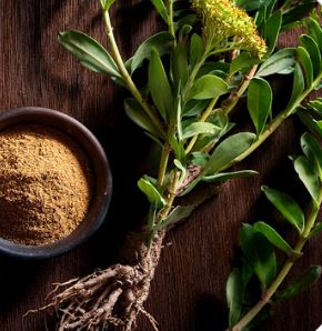 What is the best natural supplement for stress and anxiety? Rhodiola Rosea